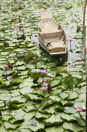 Wooden boat floating for travelers people rowing with Red lotus or pink water lily in pond at garden of Red Lotus floating market in Nakhon Pathom, Thailandの写真素材