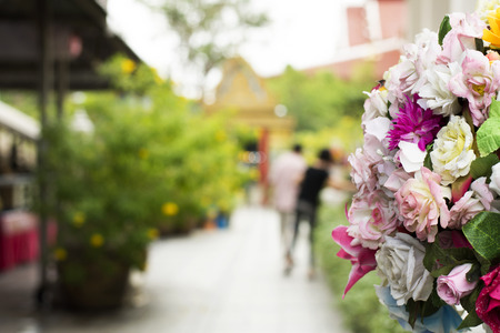 Colourful many flowers at outdoorの写真素材