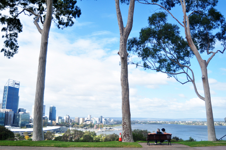 Australian old men and senior women travel and sit relax on bench in garden at Kings Park and Botanic Garden on May 15, 2016 in Perth, Australiaのeditorial素材