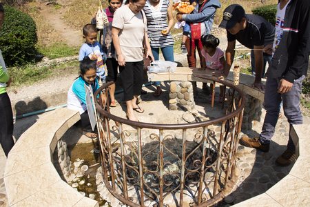 Thai people and travelers foreigner cooking boiling eggs in hot spring of Pa Tueng Hot Spring at Mae Chan on February 22,2018 in Chiang Rai, Thailandのeditorial素材