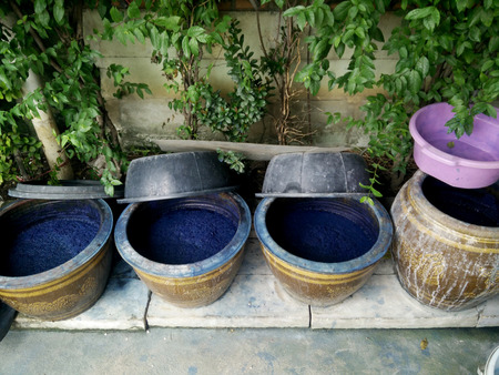 Indigenous and wisdom knowledge of thai people at Sakom nakorn and Phrae about natural colors Mauhom or indigo color in clay pot for tie batik dyeing at outdoor garden of home in Nonthaburi, Thailandの写真素材