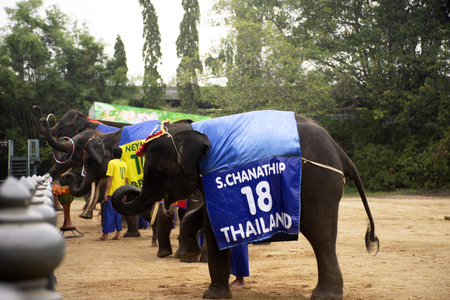 Elephant Theme Show for thai people and travelers foriegner  looking at Samphran Elephant Ground and Crocodile Farm on July 17, 2018 in Nakhon Phatom, Thailandのeditorial素材