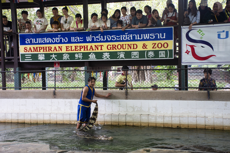 Crocodile Wrestling Show for thai people and travelers foriegner looking at Samphran Elephant Ground and Crocodile Farm on July 17, 2018 in Nakhon Phatom, Thailand.のeditorial素材