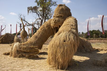Straw puppets or straws man figure Festival for thai people and foreign traveler travel visit at Mahasarakham cityの写真素材