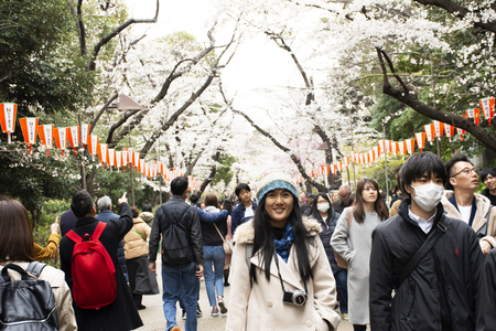 Thai women people posing portrait for take photo with japanese people and foreign travelers walk...
