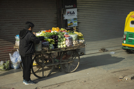 Indian people sale and buy food product fruit vegetable from small local grocery cart at Janpath Market and Dilli Haat bazaar on March 17, 2019 in New Delhi, Indiaのeditorial素材