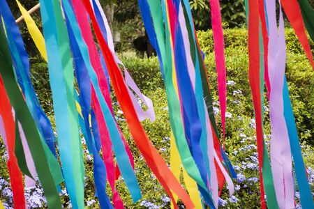 Movement and moving of colorful rainbow paper plate sheet at outdoor in garden of cafe and restaurant in bangkok, Thailandの写真素材
