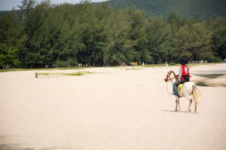 SONGKHLA, THAILAND - AUGUST 17 : Thai people cowboy riding horse on beach waiting foreigner travelers use service ride horse walk tour at Samila Beach on August 17, 2019 in Songkhla, Thailandのeditorial素材