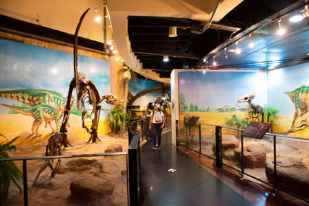 KALASIN, THAILAND - OCTOBER 2 : Traveler thai women travel visit at Dinosaur model in Sirindhorn...