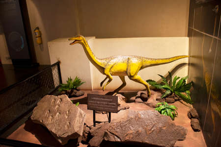 KALASIN, THAILAND - OCTOBER 2 : Dinosaur model in Sirindhorn Museum and Phu Kum Khao Dinosaur Excavation Site for travelers people travel visit at Sahatsakhan on October 2, 2019 in Kalasin, Thailandのeditorial素材
