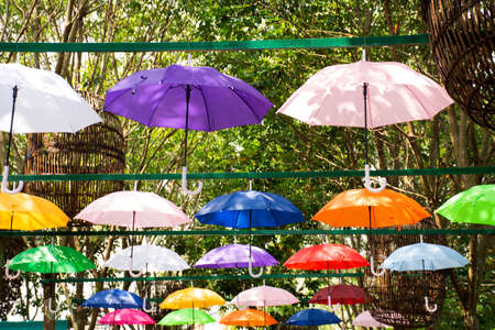 BUENG KAN, THAILAND - OCTOBER 3 : Colorful umbrella hang on tree outdoor at garden for traveler people visit travel in Life Community Museum at So Phisai city on October 3, 2019 in Bueng Kan, Thailandのeditorial素材