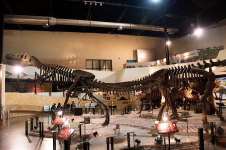 KALASIN, THAILAND - OCTOBER 2 : Dinosaur model in Sirindhorn Museum and Phu Kum Khao Dinosaur Excavation Site for travelers people travel visit at Sahatsakhan on October 2, 2019 in Kalasin, Thailandのeditorial素材