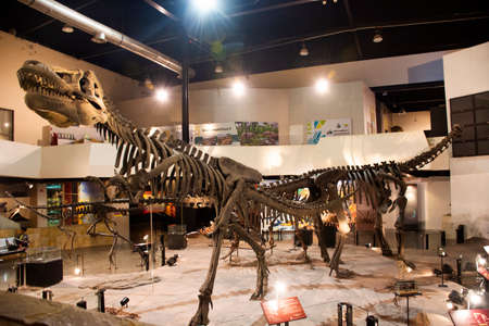 KALASIN, THAILAND - OCTOBER 2 : Dinosaur model in Sirindhorn Museum and Phu Kum Khao Dinosaur Excavation Site for travelers people travel visit at Sahatsakhan on October 2, 2019 in Kalasin, Thailandのeditorial素材