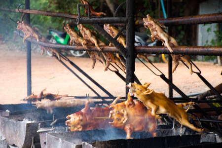 MUKDAHAN, THAILAND - NOVEMBER 12 : Thai chefs people cooking roast and grill barbecued suckling pig on charcoal stove in kitchen of restaurant at Kaengkabao on October 12, 2019 in Mukdahan, Thailandのeditorial素材