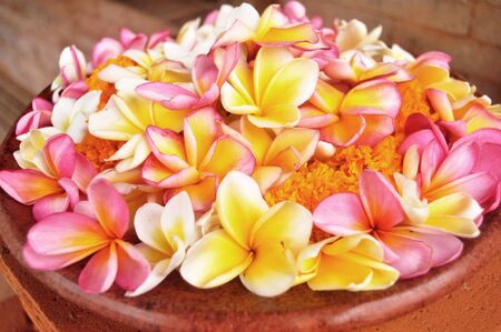 Frangipani or Plumeria or Templetree Flower in bowl for offerings and respect praying god angel devil and deity at Pura Taman Ayun or Mengwi Temple at Badung city in Bali, Indonesiaの写真素材