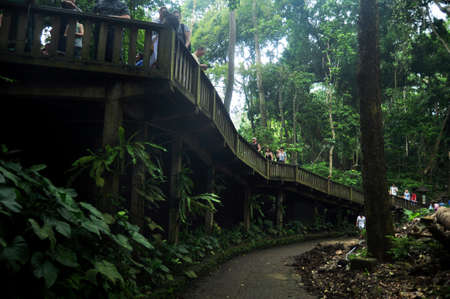 BALI, INDONESIA - MARCH 22 : Balinese indonesian people and foreign travelers travel visit Mandala Suci Wenara Wana or Ubud Sacred Monkey Forest Sanctuary at Ubud on March 22, 2018 in Bali, Indonesiaのeditorial素材