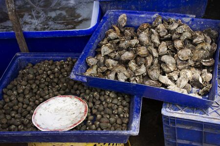 Local market seafood shop for sale thai people and travelers customer at Ban Bang Krachao fishing...