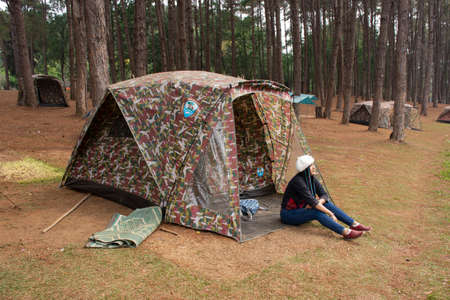 Thai women traveler travel visit Pang Ung pine forest and tent camping and bamboo rafts in Pang Oung lake in authentic Chinese village Ban Rak Thai on February 28, 2020 in Mae Hong Son, Thailandのeditorial素材