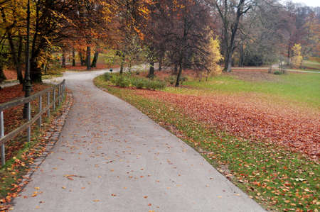 View landscape tree plant of Englischer Garten garden public park in fall autumn seasonal for german...
