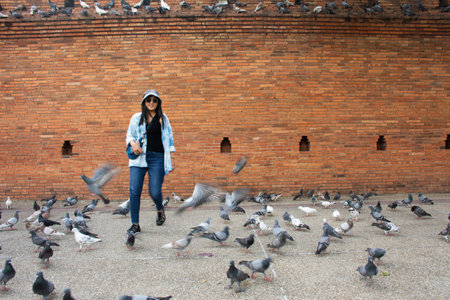 Travelers thai women people travel visit and take photo with dove birds at Thapae ancient gate or Chiang Mai old city brick walls and Tha Pae gates the most famous landmarks in Chiang Mai, Thailandの写真素材