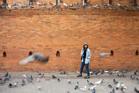 Travelers thai women people travel visit and take photo with dove birds at Thapae ancient gate or Chiang Mai old city brick walls and Tha Pae gates the most famous landmarks in Chiang Mai, Thailandの写真素材