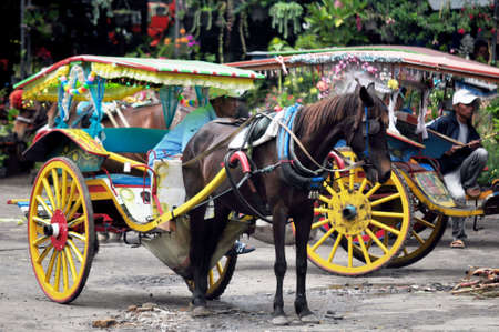indonesian people wait and ride horse drawn carriages for indonesia people and foreigner travelers use service tour in Kabupaten Karo at Sumatera Utara on March 31, 2016 in North Sumatra, Indonesiaのeditorial素材