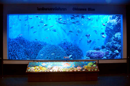 Thai people and foreign traveler travel visit learn Aquatic animals in fish glass acrylic tank of Zoo Aquarium Bueng Chawak Chalerm phrakiat at Suphanburi on November 27, 2016 in Suphan Buri, Thailandのeditorial素材