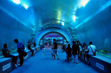 Thai people and foreign traveler travel visit learn Aquatic animals in fish glass acrylic tank of Zoo Aquarium Bueng Chawak Chalerm phrakiat at Suphanburi on November 27, 2016 in Suphan Buri, Thailandのeditorial素材