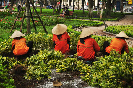 Vietnamese women worker people working gardening cutting branch tree and leaf plant and keeping garbage in Hoan Kiem Lake Returned Sword public park at Hoan Kiem on April 12, 2016 in Hanoi, Vietnamのeditorial素材
