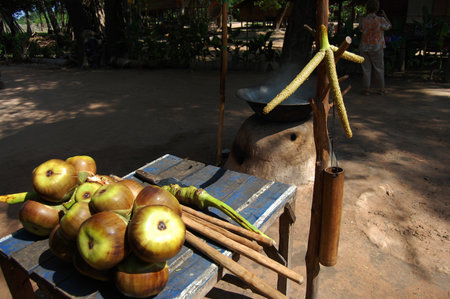 Cambodian people making fruit juice and palm sugar cakes from Sugar palm plant or toddy tree for...