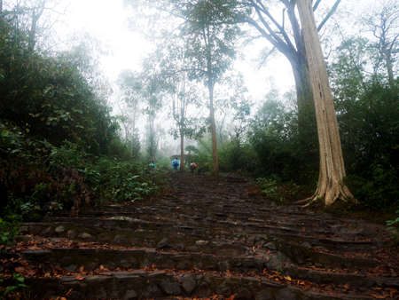 Stone stairs step climbing for travelers thai people walking trail or hiking in forest jungle on mountain with mist fog while raining in winter season at Phu Kradueng National Park in Loei, Thailandの写真素材