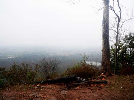 View landscape forest jungle on mountain in Phu Kradueng National Park with plant tree and mist fog while raining in winter season for thai people travelers trailing hiking camping in Loei, Thailandの写真素材