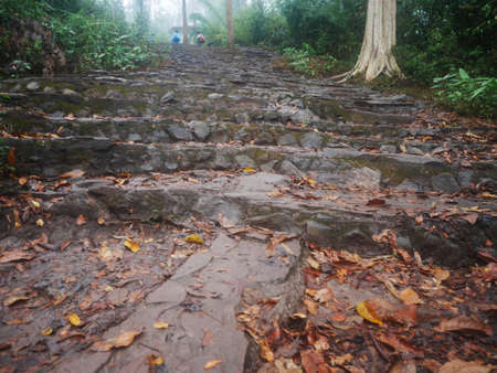 Stone stairs step climbing for travelers thai people walking trail or hiking in forest jungle on mountain with mist fog while raining in winter season at Phu Kradueng National Park in Loei, Thailandの写真素材