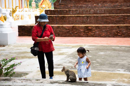 Thai little cute children girl walk and play with cat after travel visit praying buddha with grandmother and parent family of Wat Phra Kaew temple at Chainat city on May 27, 2020 in Chai Nat, Thailandのeditorial素材