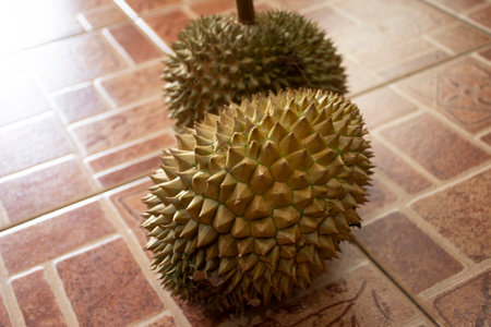 Thai people prepare and use knife blade peeling durian fruits for eat on floor in house at Nonthaburi, Thailandの写真素材