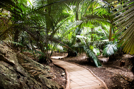 Hup Pa Tat cave valley and Khao Pla Ra limestone mountain in Tham Prathun non hunting area for thai people foreign travelers travel visit and journey explorer at Lan Sak city in Uthai Thani, Thailandの写真素材