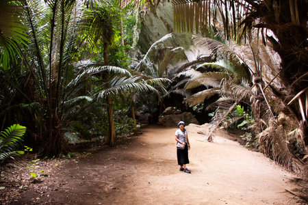 Thai women travelers people travel visit and journey explorer in Hup Pa Tat cave valley and Khao Pla Ra limestone mountain in Tham Prathun non hunting area at Lan Sak city in Uthai Thani, Thailandの写真素材