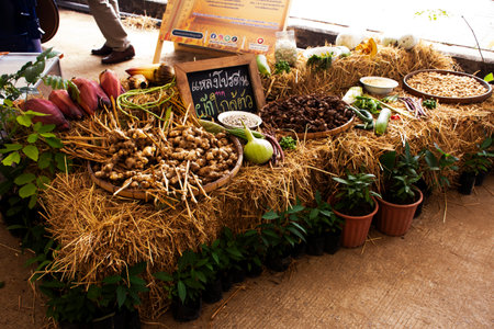 Forest vegetables and jungle fruits for thai people cooking local native food for show and sale travelers customers taste eat from antique shop restaurant on December 4, 2023 in Pathum Thani, Thailandの写真素材