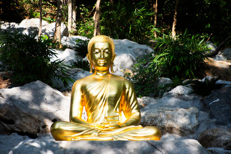 Golden holy buddha ancient statue on stone in forest tree for thai people travelers travel visit respect blessing holy wish at Wat Khao Wong Narai Cave Temple in Phra Phutthabat of Saraburi, Thailandの写真素材