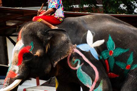Vibrantly painted body elephants and thai mahout keepers join Songkran Festival elephants use trunks to spray water to visitors travelers travel visit splashing or fights water in Ayutthaya, Thailandの写真素材