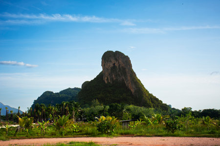View landmarks on landscape plantation meadow field and Khao Ok Thalu mountain or Mount Oak Thalu with mini mart  for thai people travelers travel visit at rural countryside in Phatthalung, Thailandの写真素材