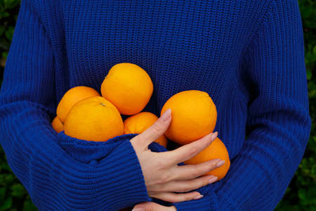 A girl in a blue sweater holds ripe oranges in her handsの写真素材