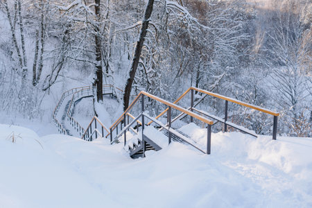 Stairs leading down through the winter forest
