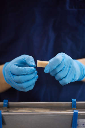 Scientists work in the laboratory. A researcher conducts laboratory researchの写真素材