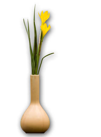 Flower vaseの写真素材