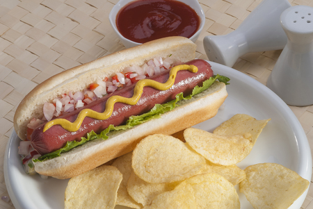 Chicken Jumbo Hotdog sandwich with fries & Ketchup on white plateの写真素材