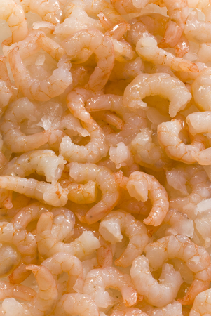 Cooked peeled prawnsの写真素材