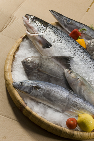 Fresh fishes on woven trayの写真素材