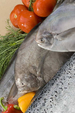 Close-up of uncooked fishesの写真素材