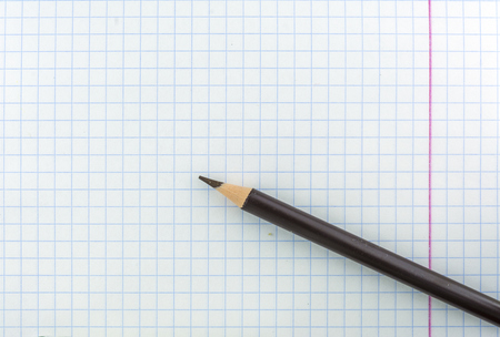 A sheet of school exercise book in a cage. The pencil is brown on the sheet.の写真素材